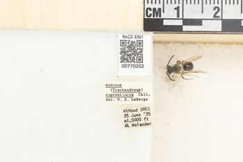 Media type: image;   Entomology 770202 Aspect: Labels